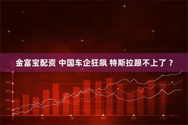 金富宝配资 中国车企狂飙 特斯拉跟不上了 ？