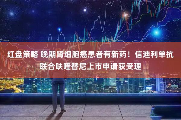 红盘策略 晚期肾细胞癌患者有新药！信迪利单抗联合呋喹替尼上市申请获受理