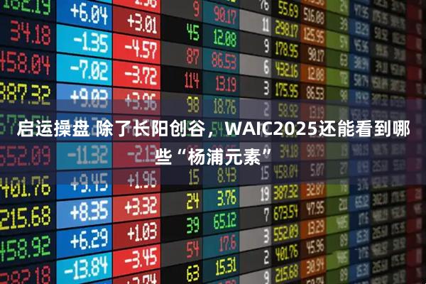 启运操盘 除了长阳创谷，WAIC2025还能看到哪些“杨浦元素”