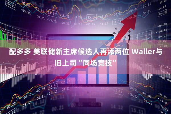 配多多 美联储新主席候选人再添两位 Waller与旧上司“同场竞技”