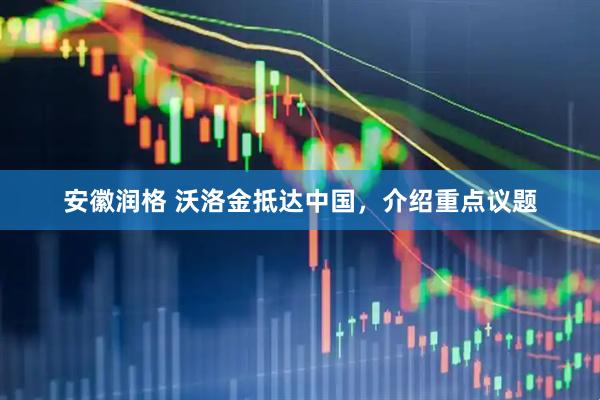 安徽润格 沃洛金抵达中国，介绍重点议题