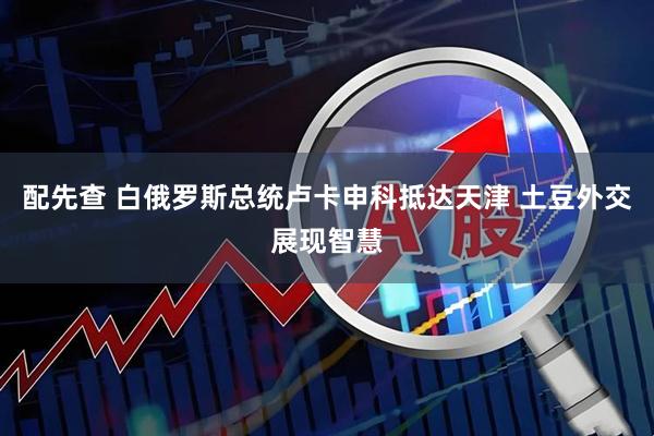 配先查 白俄罗斯总统卢卡申科抵达天津 土豆外交展现智慧