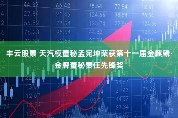 丰云股票 天汽模董秘孟宪坤荣获第十一届金麒麟·金牌董秘责任先锋奖