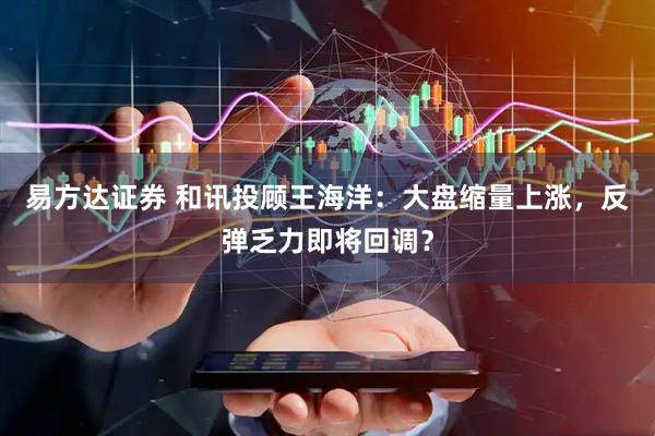 易方达证券 和讯投顾王海洋：大盘缩量上涨，反弹乏力即将回调？